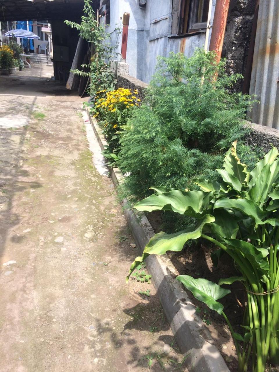 Batumi Guesthouse 28A 外观 照片
