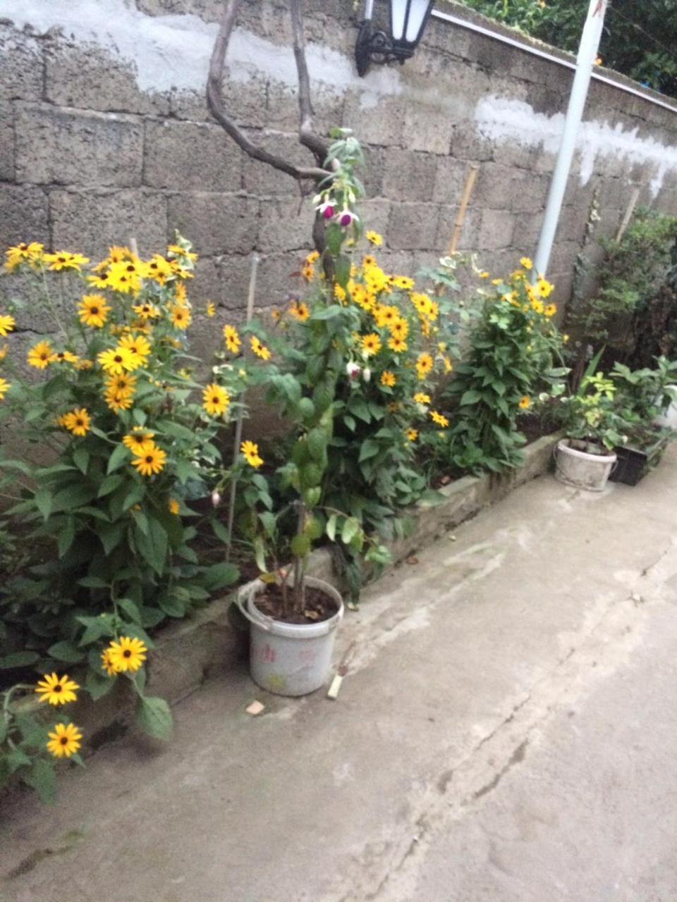 Batumi Guesthouse 28A 外观 照片