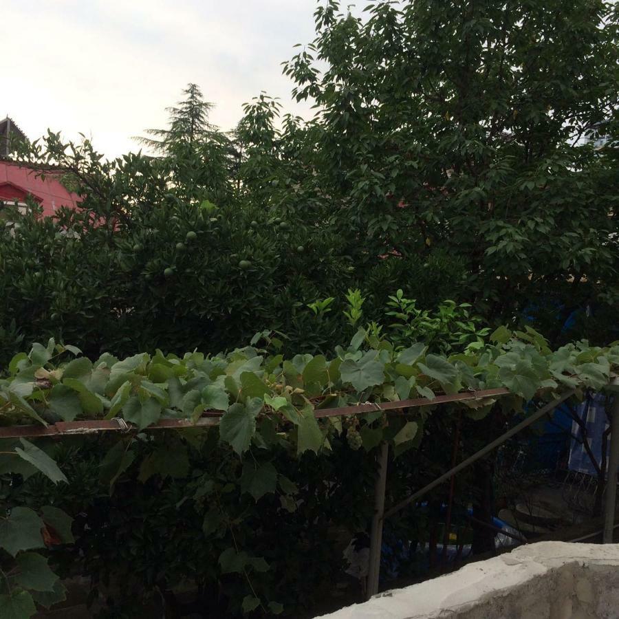 Batumi Guesthouse 28A 外观 照片